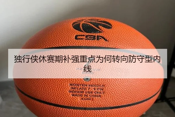 独行侠休赛期补强重点为何转向防守型内线